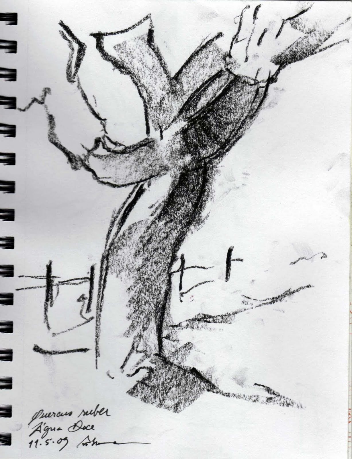 [paralelismo005.jpg]