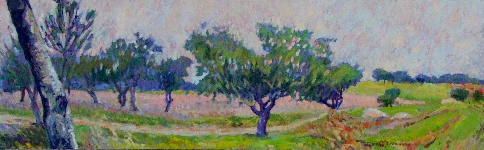 [Quercussuber_2H40_AguaDoce.jpg]