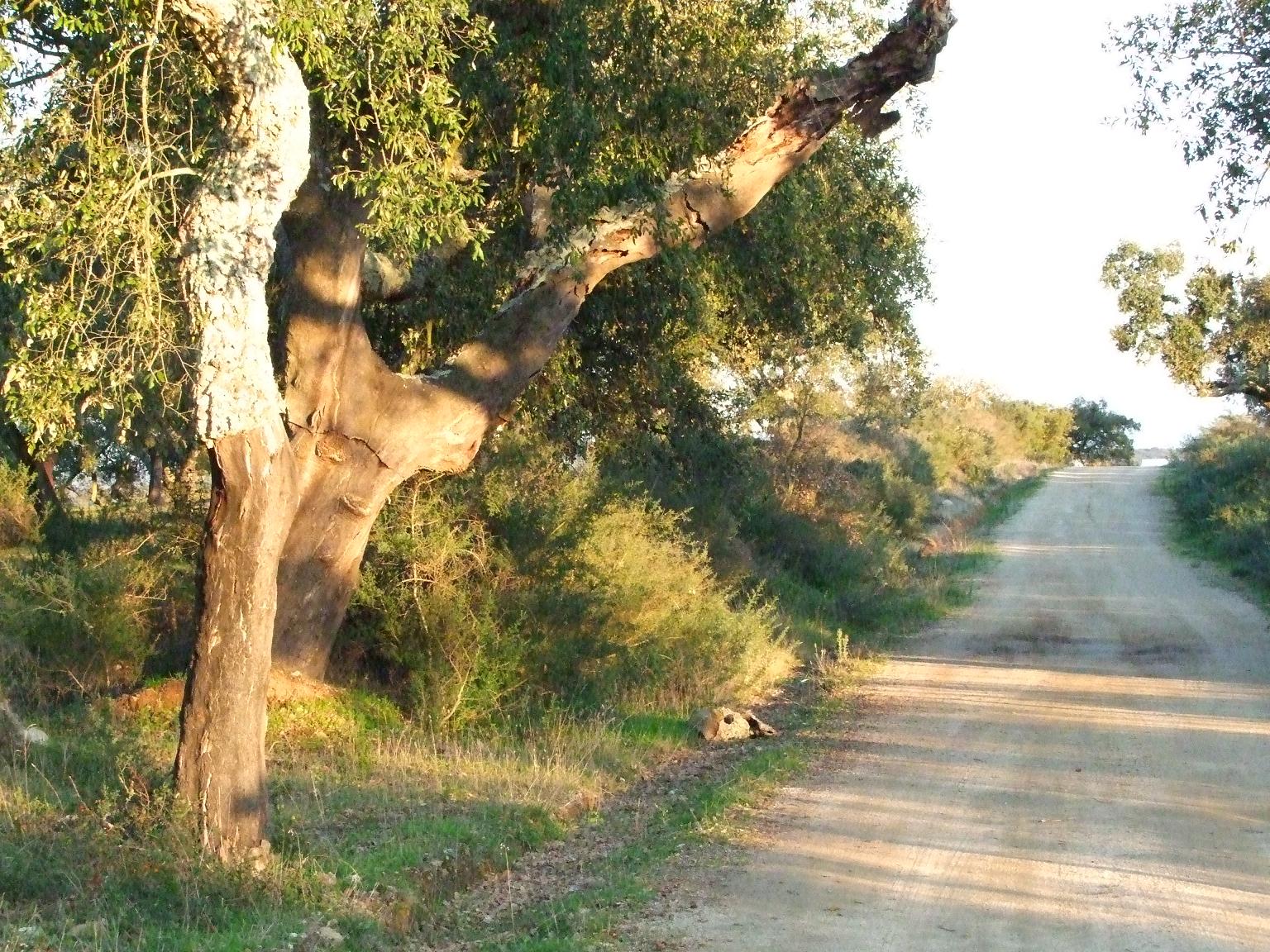 [Do+Not+Disturb+#1_Guadelim+021_m.JPG]