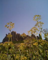 MONTSERRAT