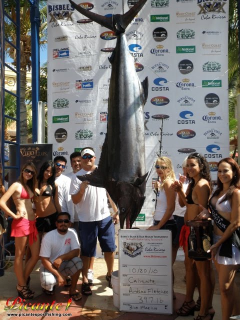 Cabo Fishing Tournament Results: First Marlin of Bisbee Tournament