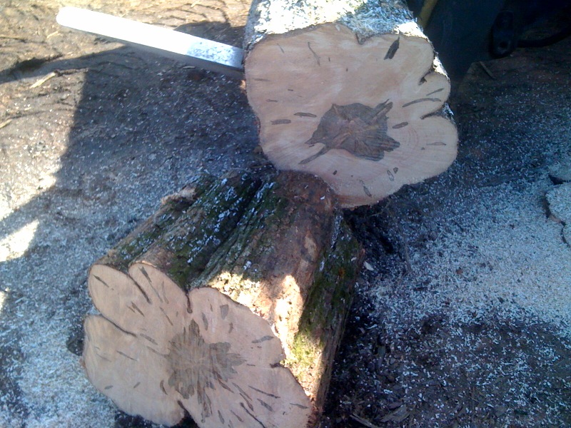 Oh, Susannah® How to Turn a Tree Trunk into a table