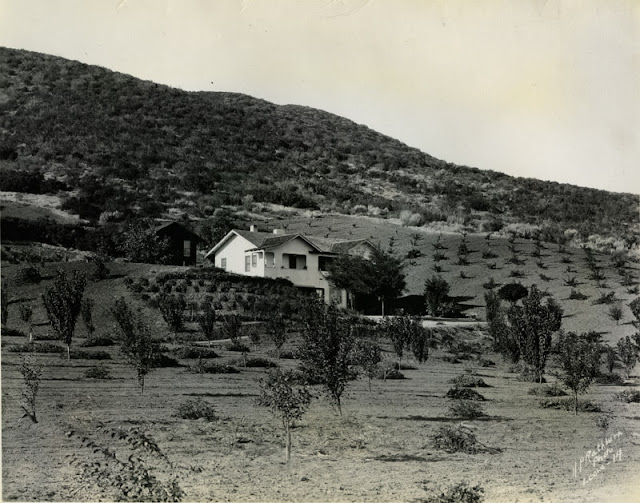 Leona Valley Ranch Young's Ranch Leona 1927