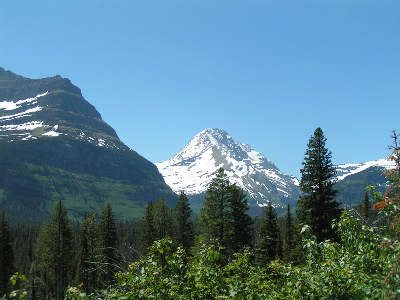 [Glacier+1+502.JPG]