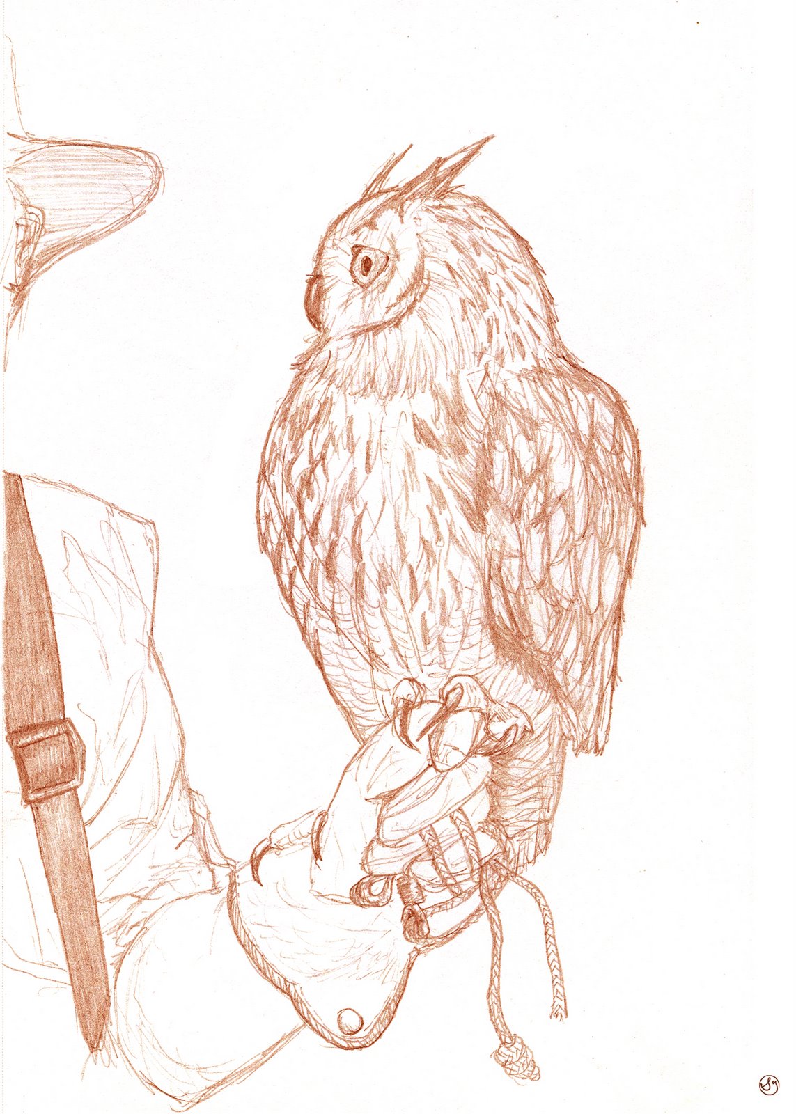 [Owl-(Color).jpg]