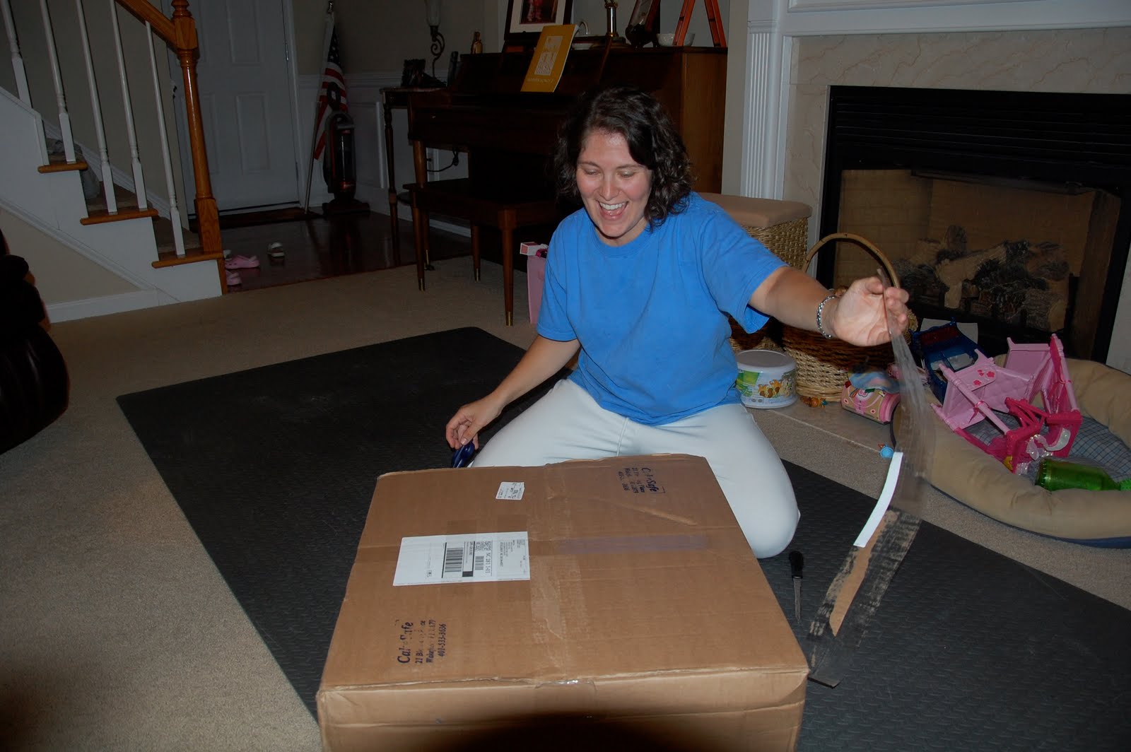 Angela Barton's Cakes My Cake Safe Box has arrived!