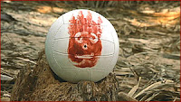 Wilson the Volleyball in Cast Away (© 2000 Twentieth Century Fox and Dreamworks LLC. All Rights Reserved)