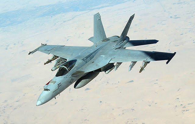 [FA18EFSuperHornet.jpg]