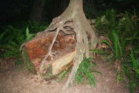 MPH Travels: In League with the Greats - 28 June 2010