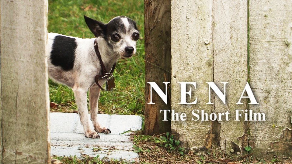 NeNa, The Short Film