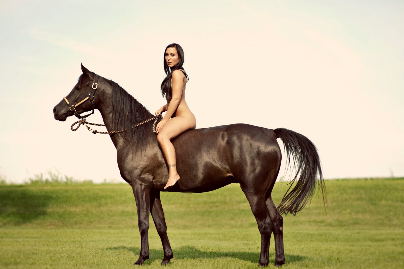 Girl riding on a horse dick