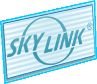 Skylink CA