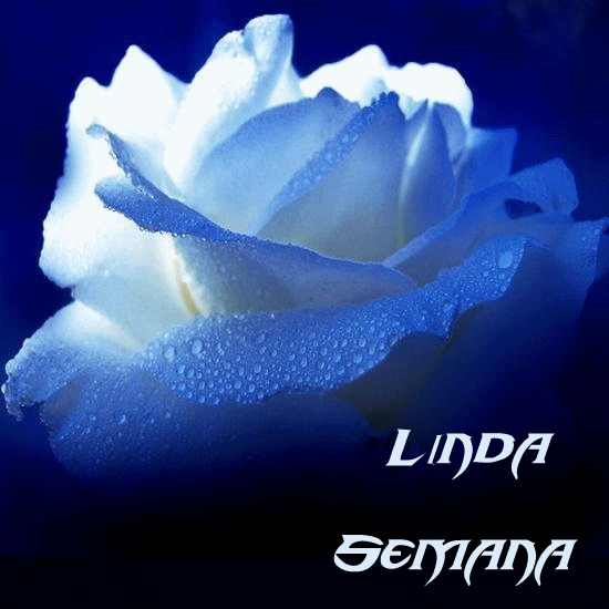 linda%20flor%20azule02.gif