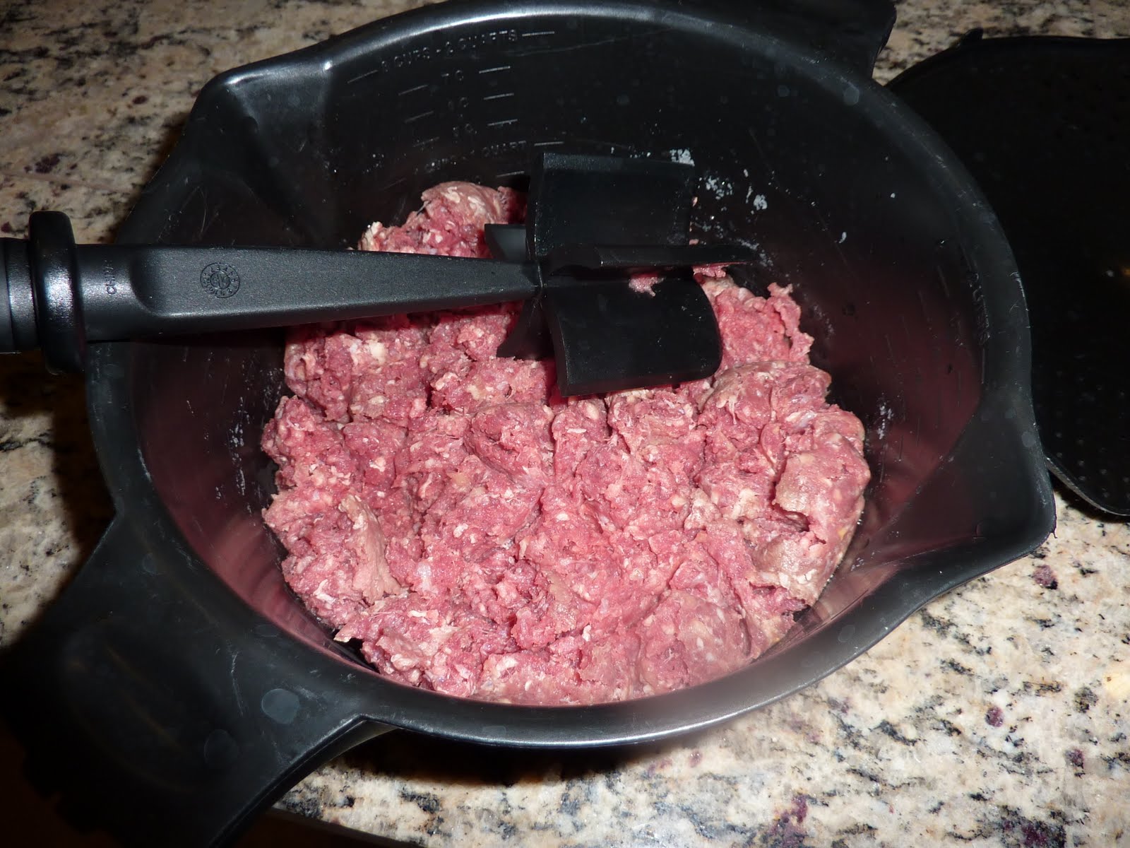 [New+camera,+Christmas,+misc+093.JPG]