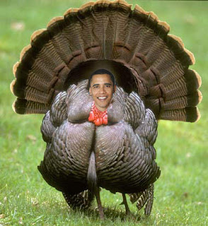 Obama Thanksgiving Turkey
