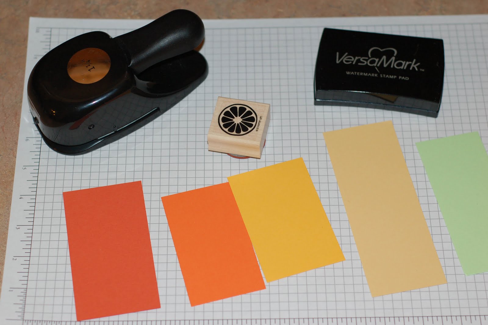 Stamping 411 How To Use Versamark, A tutorial by Featured Stamper Lynn