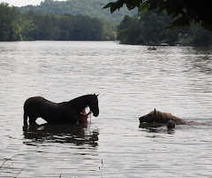 Swimming!