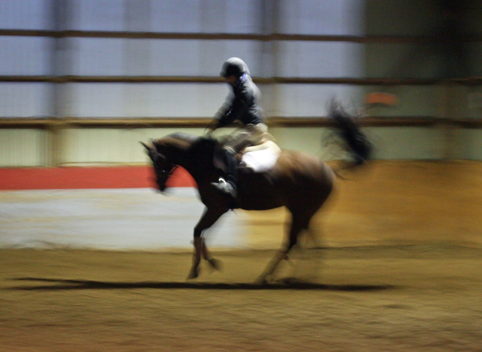 [IMG_1501_edited-1.JPG]