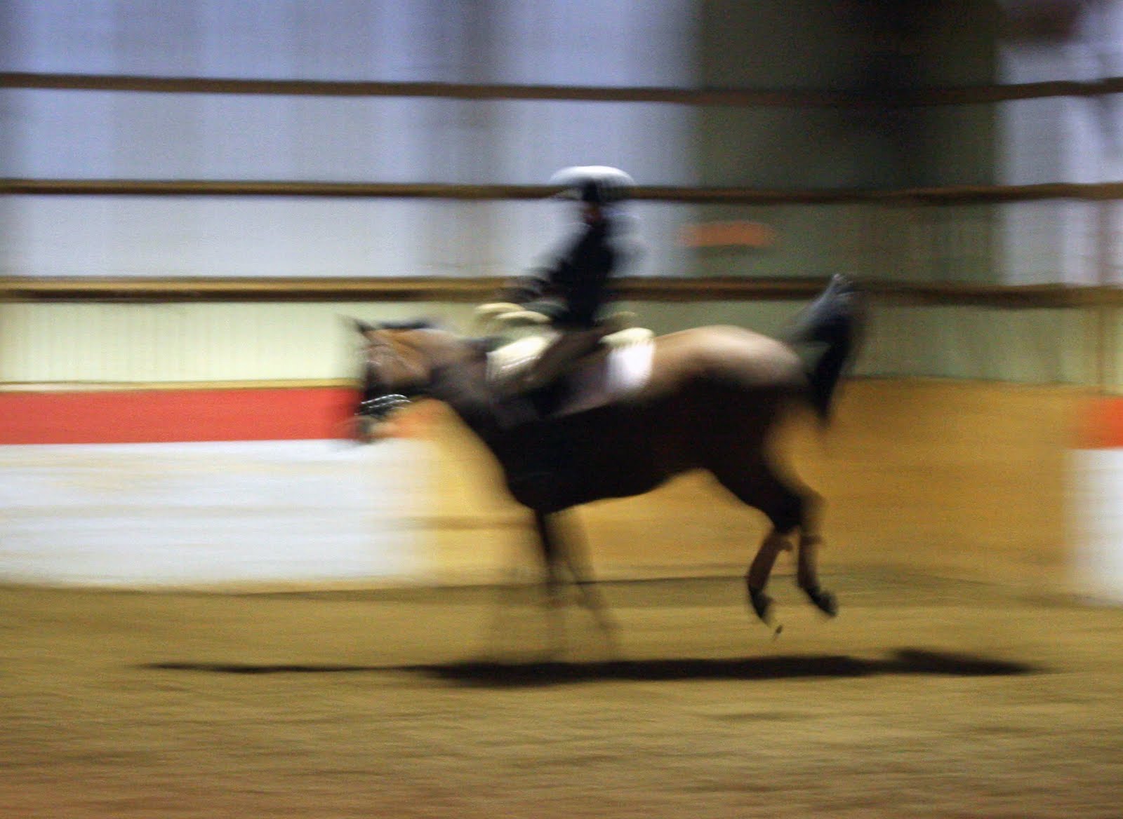 [IMG_1500_edited-1.JPG]