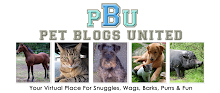 Pets Blog United