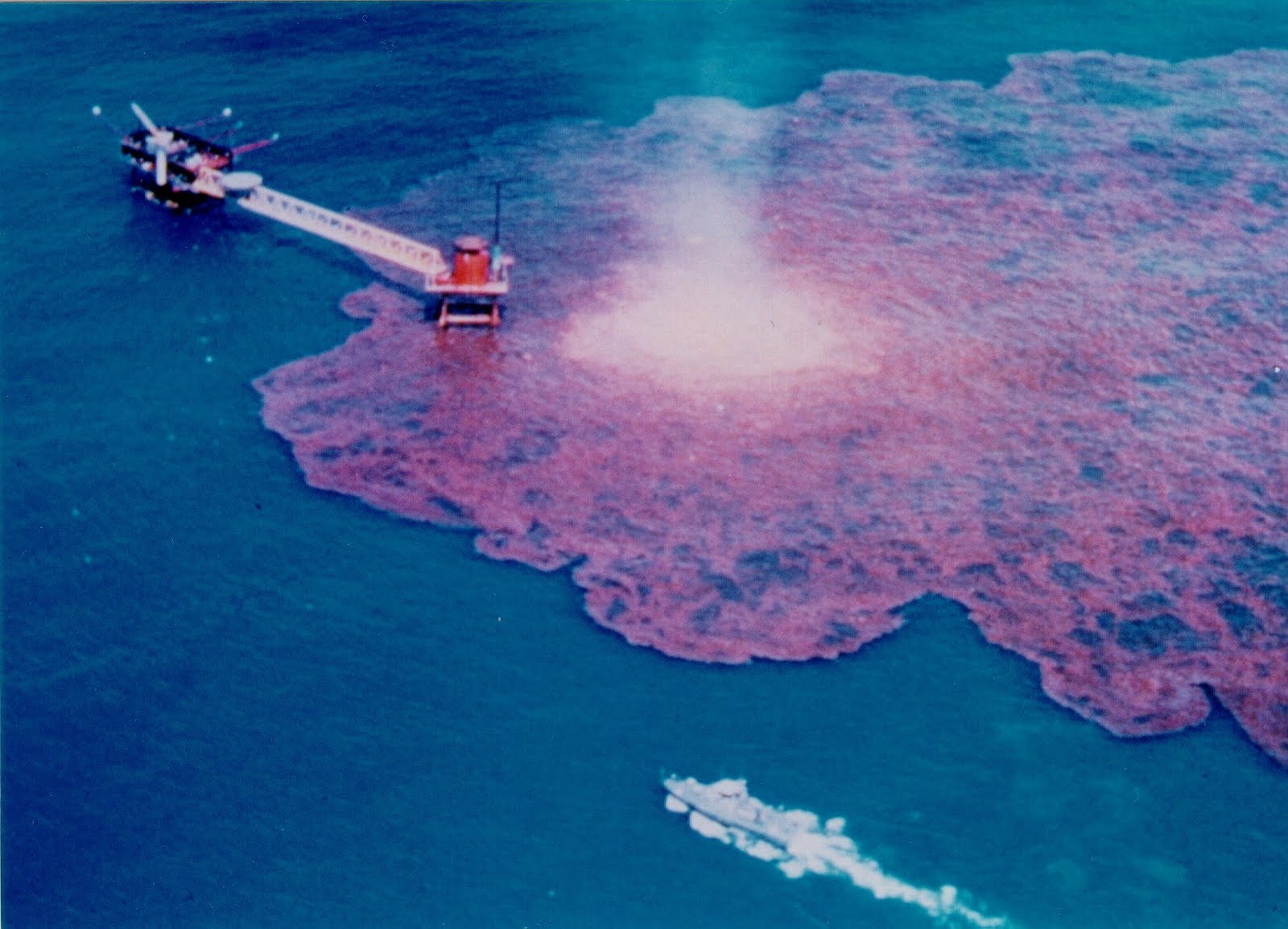 Microbloganismos: Vertido en el Golfo de México: "biorremediación