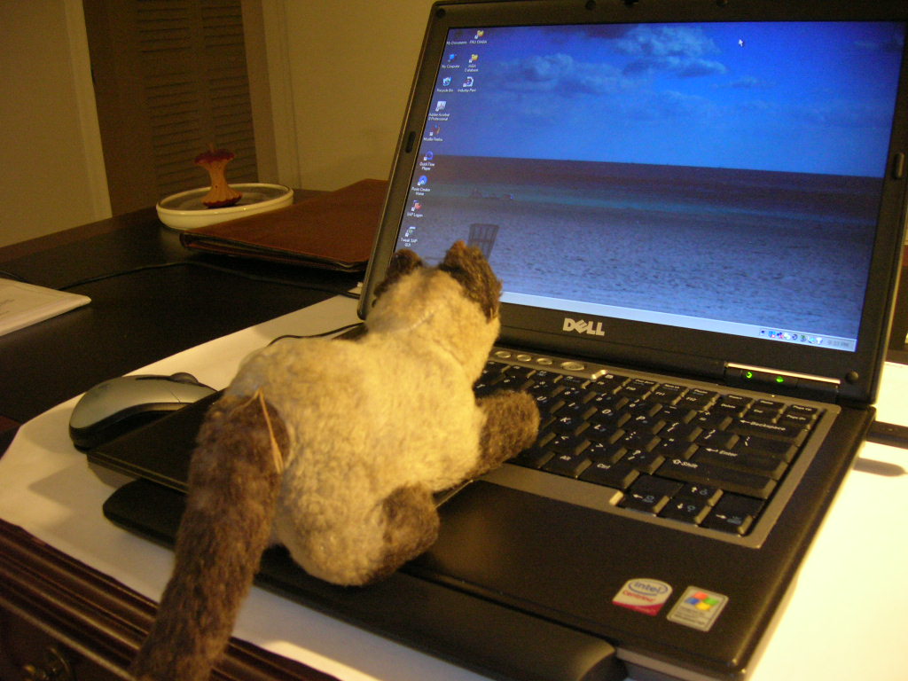 [Cat+blogging.JPG]