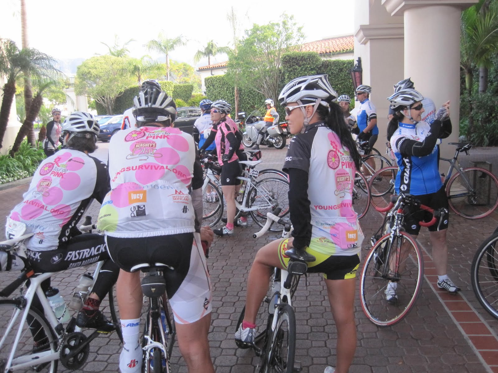 Riding Along The Pink Ribbon Road