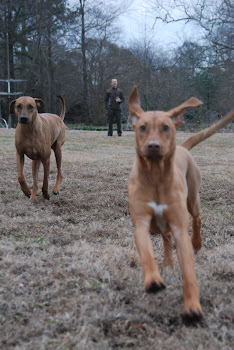 The Paleohund Pack