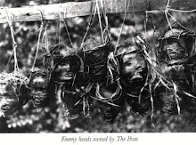 Enemy Heads Smoked By The Dayak Iban Warriors