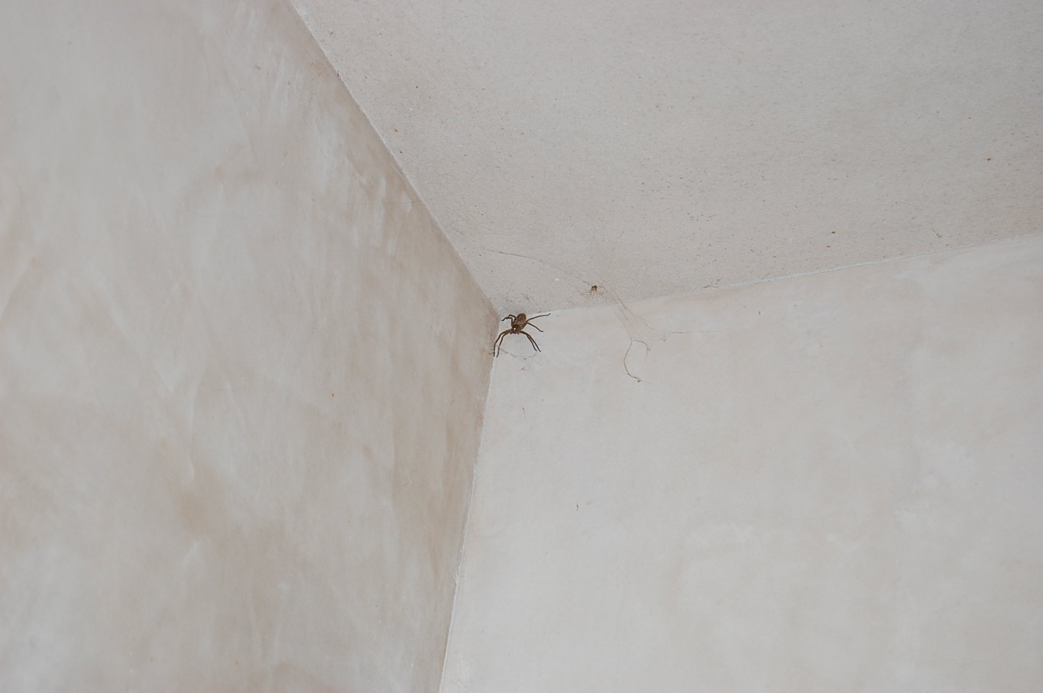 [DSC_0225.JPG]
