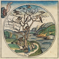 A Day of Creation from Nuremberg Chronicle