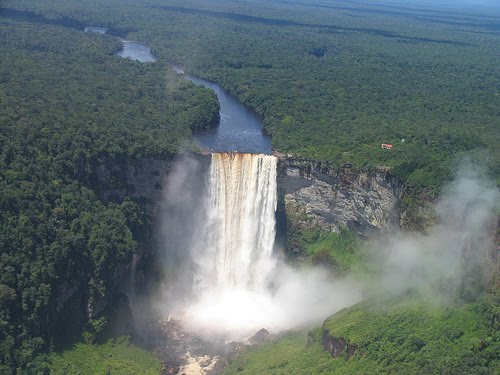 The Amazon Rainforest: Guyana expedition finds biodiversity trove in