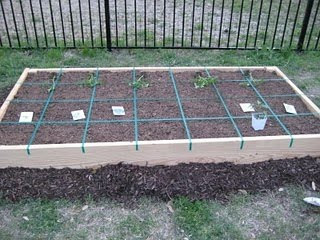 Diy Indoor Vegetable Garden Ideas - Diy Indoor Hydroponic Vegetable Garden