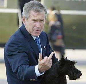 bush%2Bfinger2.jpg