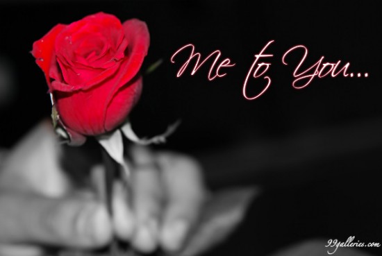 I Love You Quotes With Roses. QuotesGram