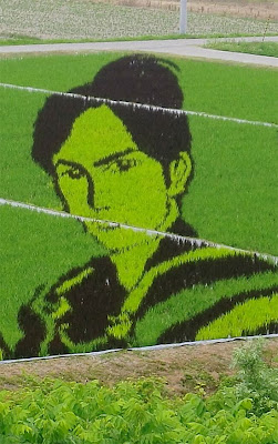 Rice_Field_Art_19.jpg