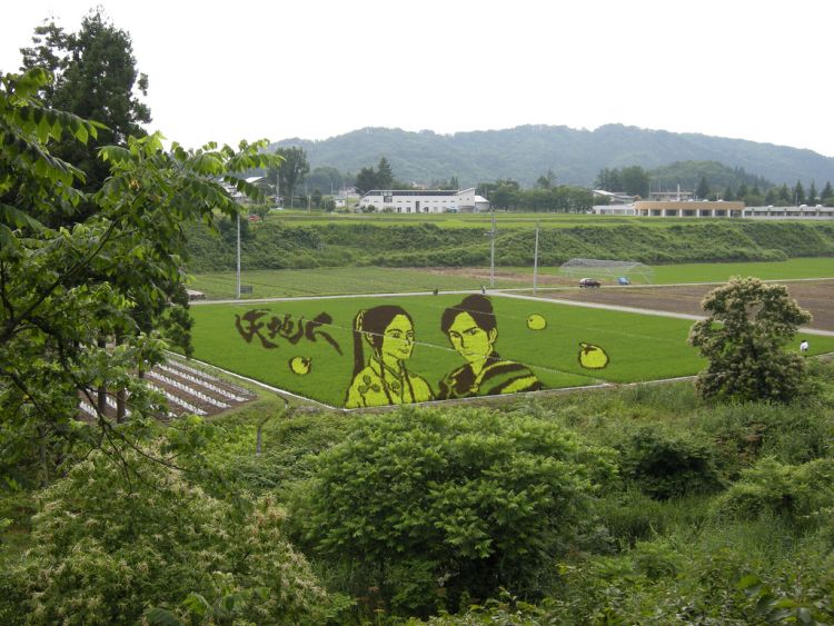 [Rice_Field_Art_15.jpg]