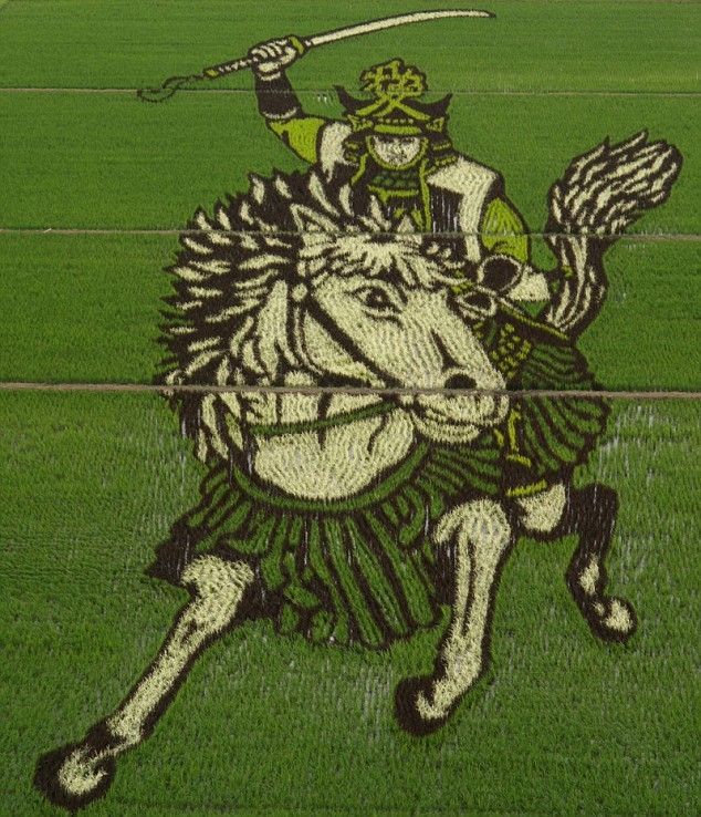 [Rice_Field_Art_01.jpg]