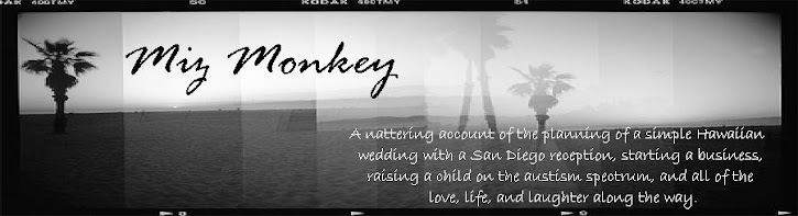 Miz Monkey