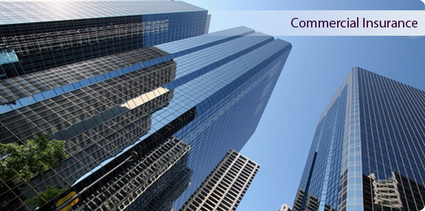 ny commercial insurance November 2010