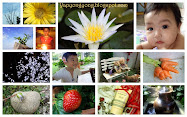 Yongyee  第二代 Blog Header