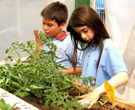 Taller de Hidroponía