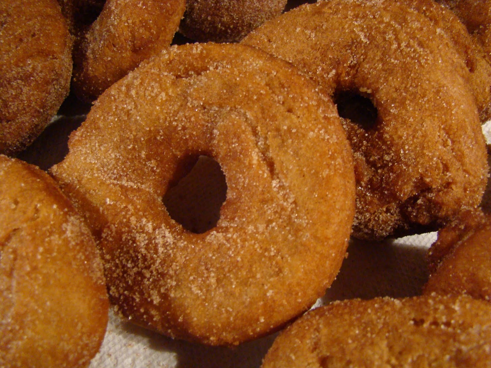 Windy Meadows Farm oldfashioned buttermilk doughnuts...