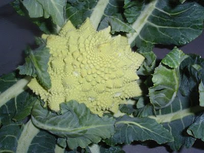 romanescu