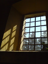 Okno v kostele
