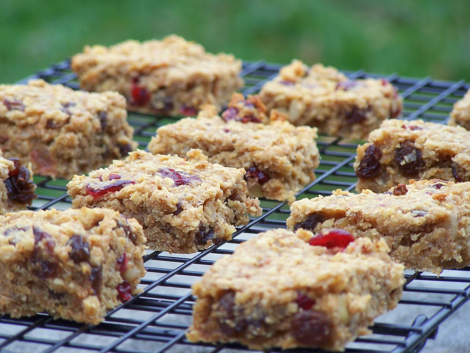 Meal Planning Made Simple Snack Idea Walnut Dried Cherry Bars