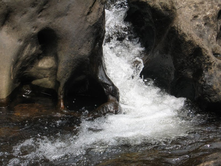 Thommankuthu waterflow