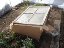 [cold+frame+small+1.jpg]