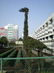 [tokyo+garden+plot+with+dinosaur]