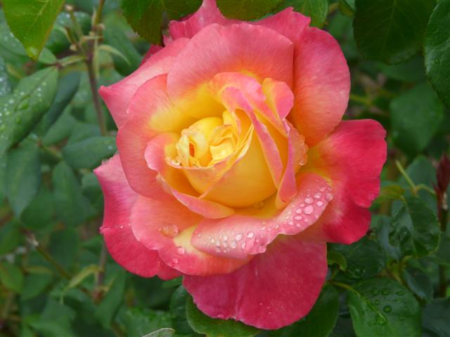 [Aug21+042+(Small).jpg]